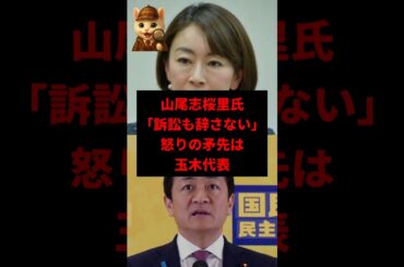 【訴訟宣言】山尾志桜里氏が国民・玉木代表にブチギレ！　#shorts
