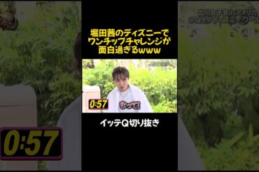 堀田茜のワンチップチャレンジw#イッテq #おもしろ #面白い #お笑い #千鳥 #short #ディズニー