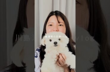 川島の日常。なんにも映えてない😇 #川島海荷 #UmiLOG #shorts #vlog