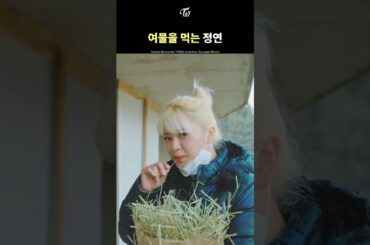 [TWICE] JEONGYEON Eats Fodder