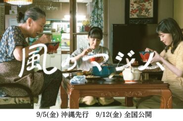 【伊藤沙莉/主演】映画『風のマジム』本予告（105秒）主題歌・森山直太朗