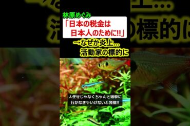 林原めぐみ「日本人の税金は日本人のために」→なぜか炎上、活動家の標的に…