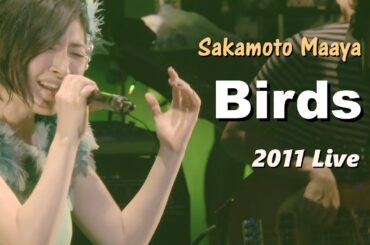 사카모토 마아야(坂本真綾) - Birds 2011 LIVE / 1st 미니앨범 Easy Listening 수록곡