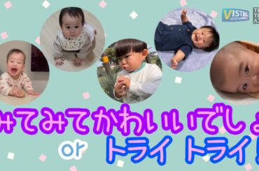 テンションアゲアゲ赤ちゃん/ずりばい始めて3日目です/たんぽぽ「フーッ！」/華麗な足技披露！/寝返り大成功！！！