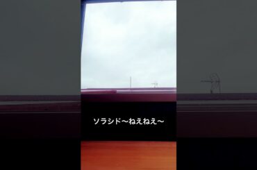 ソラシド〜ねえねえ〜/Buono! #cover #アカペラ #歌ってみた #shorts