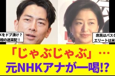 膳場貴子、サンモニで需給バランスに言及！！コメをじゃぶじゃぶにするという小泉大臣の発言…