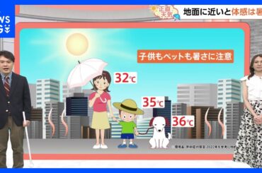 【6月19日 関東の天気】子ども・ペットはプラス3℃｜TBS NEWS DIG