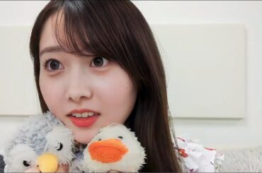 矢久保 美緒（乃木坂46）  のぎおび SHOWROOM ショールーム 2025 06 17