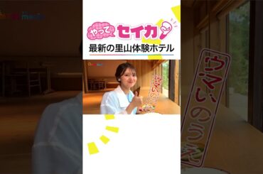 #井上清華 キャスターが奥多摩満喫‼️日本初の森林セラピー専用ロードで新緑ハイキング🏞️ #めざましテレビ #やってセイカ #shorts