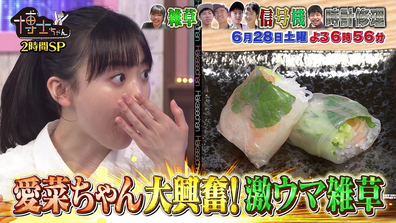 【サンドウィッチマン&芦田愛菜の博士ちゃん】2025年6月28日放送 【サンドウィッチマン&芦田愛菜の博士ちゃん】2025年6月28日放送