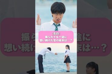 前回の旅から一度もぶれなかった恋心。告白の結果は…ABEMAで配信中👀 #今日好き #shorts