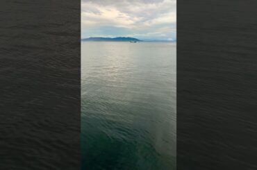 私が海を好きな理由🛥️❤️ #kimetsunoyaiba #海 #beach #japan #アニメ #船 #平和