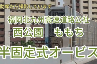 福岡北九州高速道路公社　ももち　西公園　半固定オービス