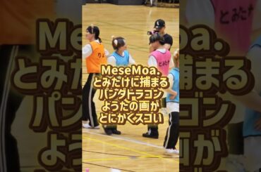 MeseMoa.とみたけに捕まるパンダドラゴンようたの画がすごい【DD大運動会】