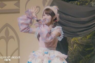 小倉 唯「わくわくシャンプー＆リンス」(LIVE TOUR 2024～Bloomy × Meet you!～ver.)