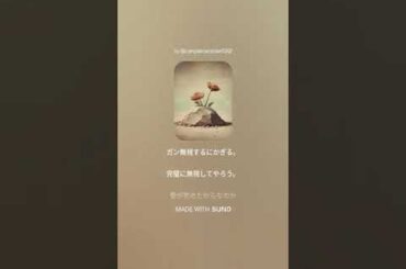 あんこ、美沙希、トン子3人の写真 #小泉