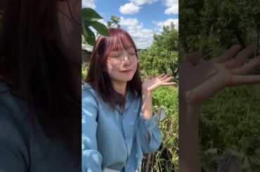 ロンドンでリアルどうぶつの森しています🌳🍎