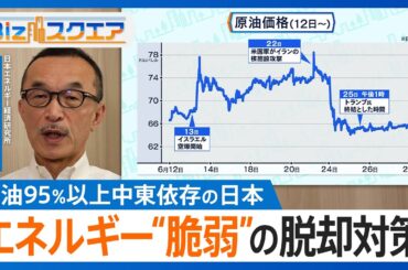 イラン・イスラエル停戦合意も予断許さぬ状況続く　専門家が読み解く “日本経済への影響”“今後の中東情勢”【Bizスクエア】