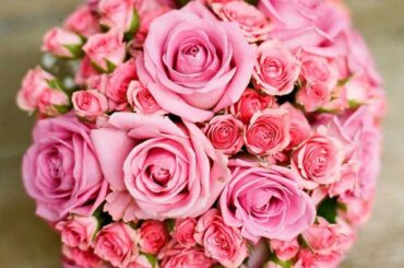 声優・石上静香、結婚＆妊娠報告「感謝の気持ちを胸に、より一層精進」【全文】 | ORICON NEWS | 国内海外のニュース