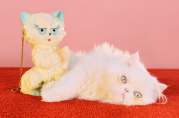 メゾン ヴァレンティノの新マスコット「ル シャ デ ラ メゾン」が日本各地のストアをツアー中！