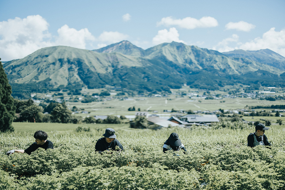 今、化粧品業界が”土”に立ち返る理由