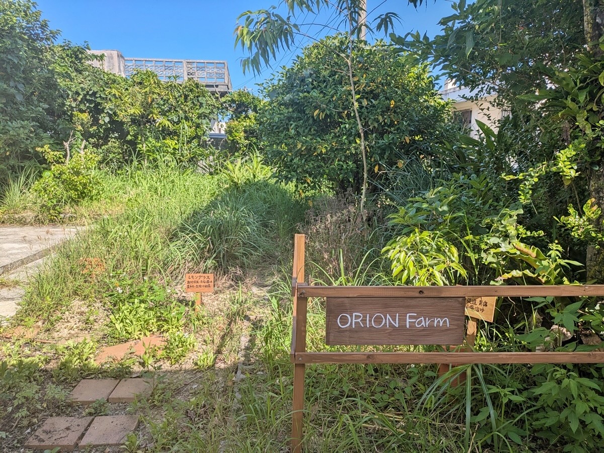 「オリオン コスメティクス」