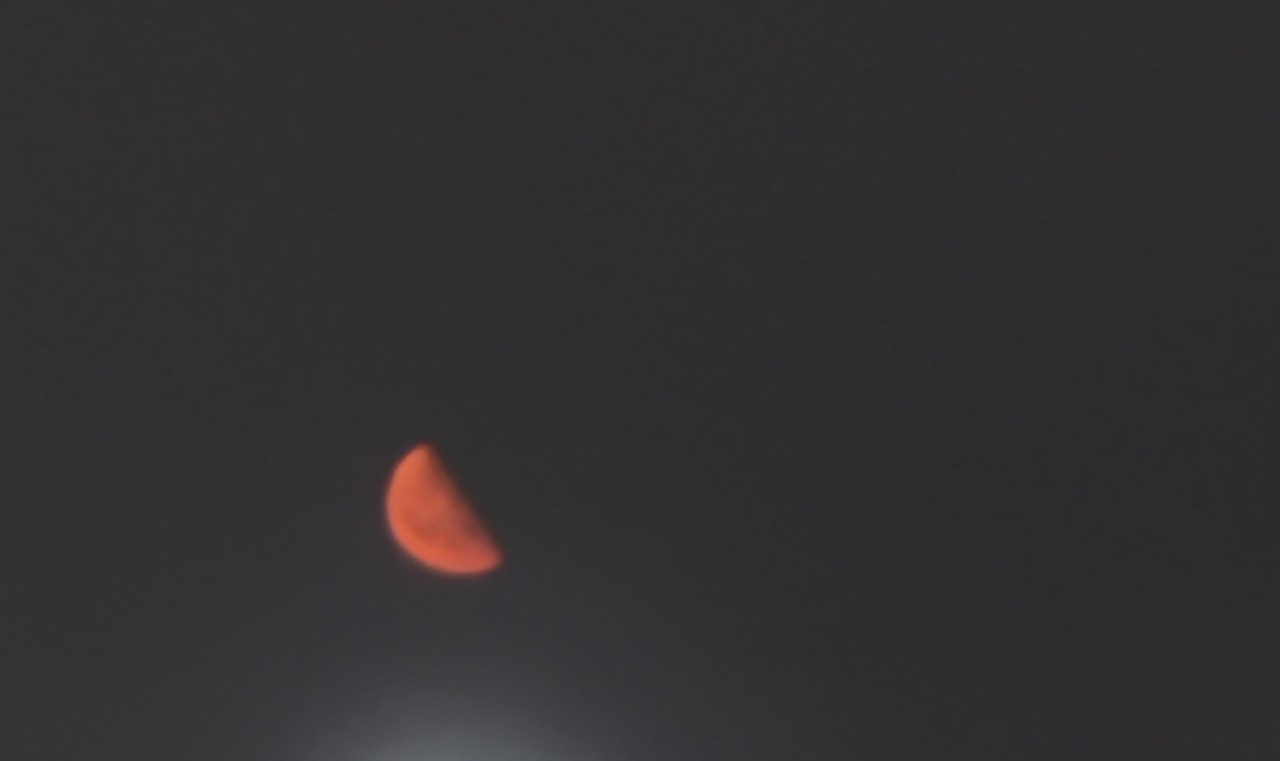 IMG_6916.jpeg
