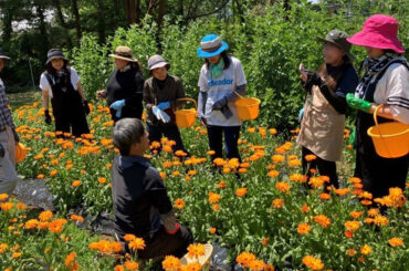 ネイチャーズウェイは種からトレーサビリティーを追求「地味で大変な作業だが、ここが企業の根幹」 - WWDJAPAN