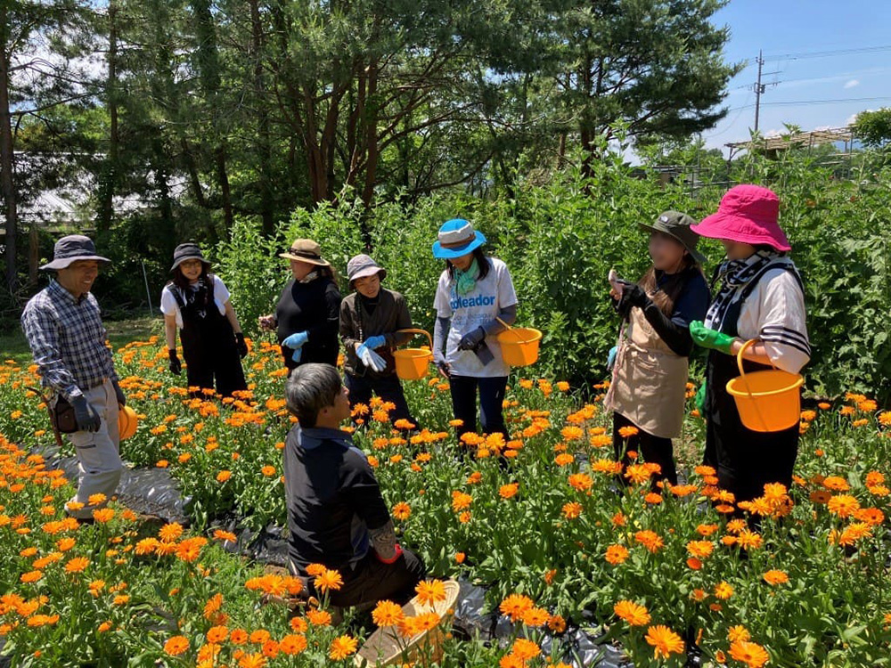 ネイチャーズウェイは種からトレーサビリティーを追求「地味で大変な作業だが、ここが企業の根幹」