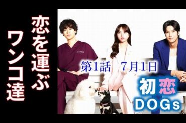 ｢初恋DOGs｣ 1話 愛犬同士の一目ぼれが3人の恋を目覚めさせ…ドラマあらすじ、清原果耶、成田凌、ナ・イヌ