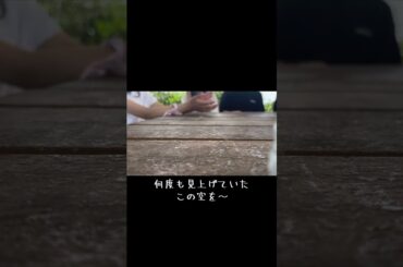 沖縄で関西の修学旅行生と歌ってみた BEGIN【島人の宝】　　#沖縄 #関西 #大阪 #学生 #修学旅行#旅行#海 #平和#BEGIN#島人ぬ宝 ##シンガーソングライター#ASU華#三線 #初心者