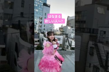 はなまる、欲しい人〜？✨️　#shorts #村川緋杏 #はなまる #きゃんちゅー #びびちゃん