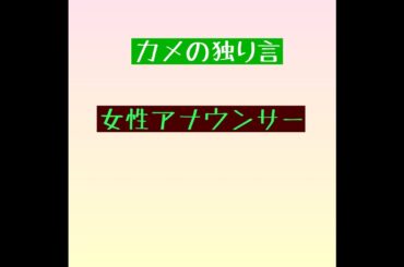 カメの独り言   ～女性アナウンサー～
