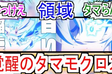 『覚醒タマちゃんかっこよすぎる』についての反応【タマモクロス】【ウマ娘シンデレラグレイ】【シングレ13話】【シングレ】【反応集】