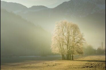 朝日にうつる君の微笑みVocaloid