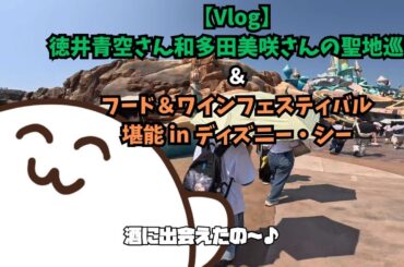 推しの痕跡さがしとフード＆ワインフェスティバルinディズニーシー【Vlog】