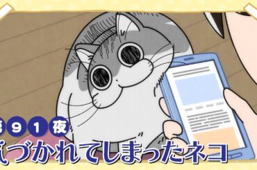 アニメ『夜は猫といっしょ』第91夜「気づかれてしまったネコ」