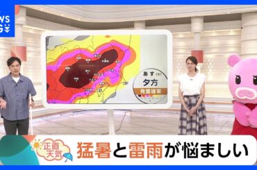 【7月1日 関東の天気】猛暑と雷雨が悩ましい｜TBS NEWS DIG