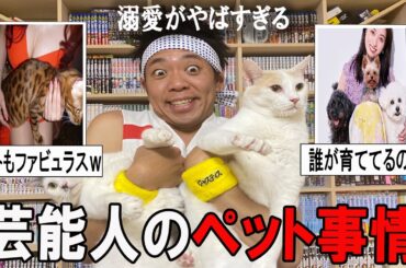 【がるちゃん芸能人】テレビやSNSで話題の芸能人の飼ってるペット大特集！