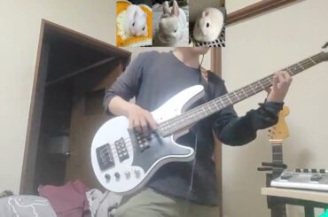 【Q＆Aリサイタル】bass　cover・Short Ver【戸松遥】