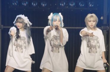 241215 | 네키루 (ねえ、聴いてる ? ) | LILIY AIRLINEへ ようこそ!