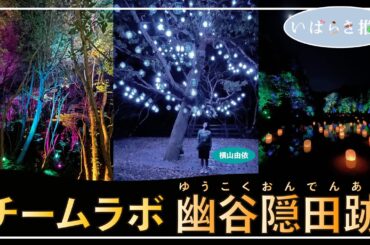 いばらき推し「チームラボ 幽谷隠田跡（北茨城市）」【出演：横山由依】