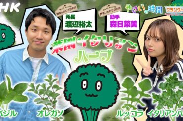 [やさいの時間] ハーブのプランター栽培を渡辺裕太と森日菜美がご紹介&【7/13(日)放送告知】やさいの時間| プランター菜園 夏野菜の暑さ対策&収穫 サントウサイのタネまき」| NHK