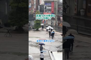 武蔵小杉の雨音はショパンの調べ？耳をふさぐ指をくぐり抜ける雨音