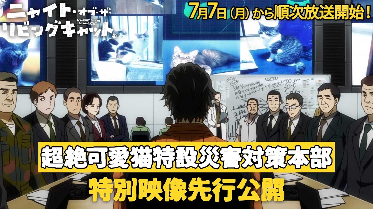 TVアニメ『ニャイト・オブ・ザ・リビングキャット』超絶可愛猫特設災害対策本部 特別映像|7月7日~放送開始 TVアニメ『ニャイト・オブ・ザ・リビングキャット』超絶可愛猫特設災害対策本部 特別映像|7月7日~放送開始