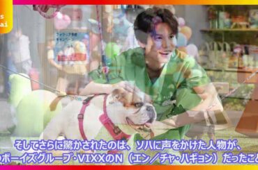 【ドラマ解説】『初恋DOGs』清原果耶演じるクール弁護士と成田凌のこじらせ獣医が犬を通じて恋に落ちる…しかしそこに現れたのはナ・イヌ！