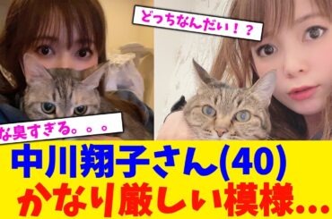 中川翔子さん(40)  かなり厳しい模様...【2chまとめ】【2chスレ】【5chスレ】