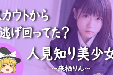 【来栖りんヒストリー】すぐに詳しくなる動画