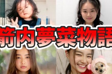 箭内夢菜の苦労と生い立ちを幼少期から現在までまとめてみた【ゆっくり解説】ゆるキャン△、グラビア、イッテQ、チアダン、始球式、など