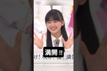 咲け! 咲け! 櫻! 満開! [ 山崎天 ] #櫻坂46